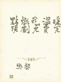 点燃我温暖你电视剧免费完整版观看