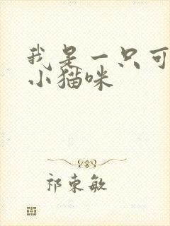 我是一只可爱的小猫咪