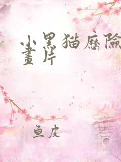 小黑猫历险记动画片