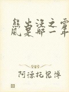 熊出没之雪岭熊风是哪一年上映的