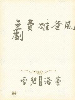 免费雄爸风云短剧