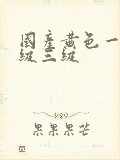 国产黄色一级二级三级