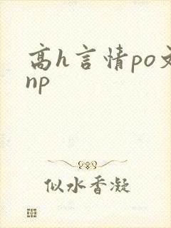 高h言情po文np