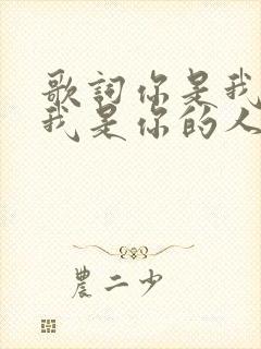 歌词你是我的人我是你的人歌词是什么意思