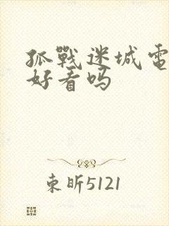 孤战迷城电视剧好看吗