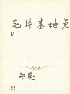 毛片基地免费av