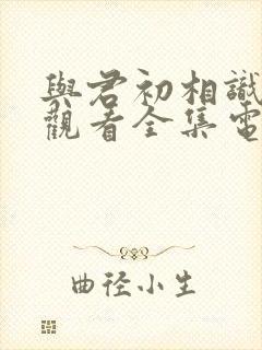 与君初相识免费观看全集电视剧