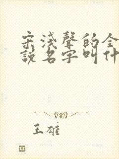 宋浅声的全部小说名字叫什么