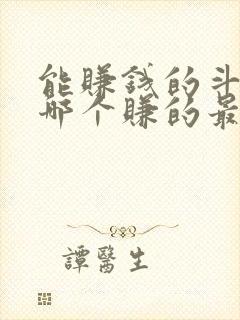 能赚钱的斗地主哪个赚的最多