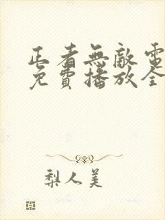 正者无敌电视剧免费播放全集