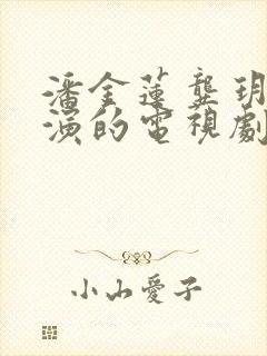 潘金莲龚玥菲主演的电视剧在线观看