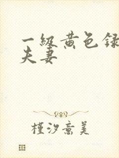 一级黄色录像片夫妻