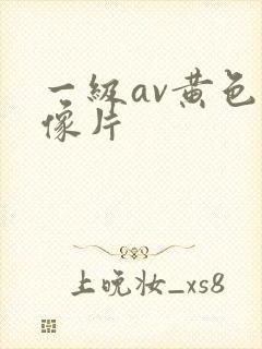 一级av黄色录像片