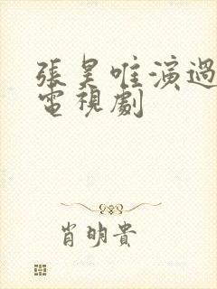 张昊唯演过哪些电视剧