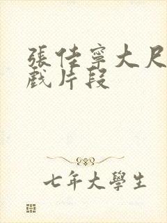 张佳宁大尺度床戏片段