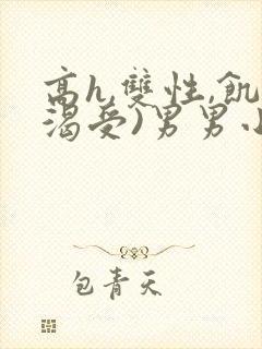 高h,双性,饥渴受)男男小说