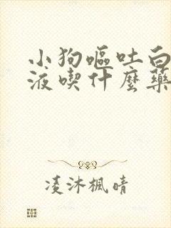 小狗呕吐白色粘液吃什么药