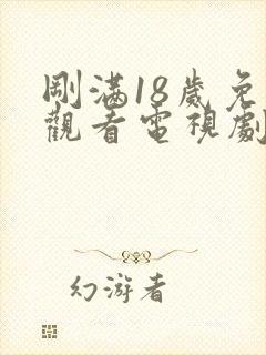 刚满18岁免费观看电视剧