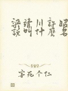 梁靖川许昭意小说叫什么名字