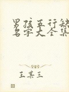 男孩五行缺金的名字大全集