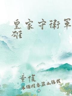 皇家守卫军2英雄