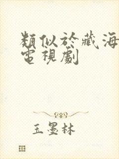 类似于藏海传的电视剧