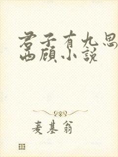 君子有九思东奔西顾小说