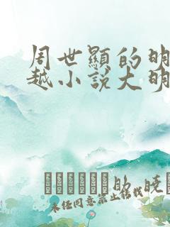 周世显的明朝穿越小说大明驸马爷