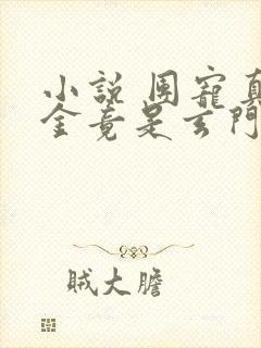 小说 团宠真千金竟是玄门大佬