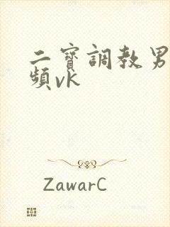 二宝调教男奴视频vk