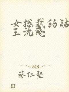 女总裁的贴身兵王沈飞