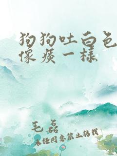 狗狗吐白色粘液像痰一样