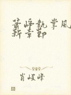 萧峥执掌风云最新章节