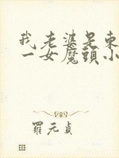 我老婆是东晋第一女魔头小说在线