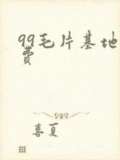 99毛片基地免费