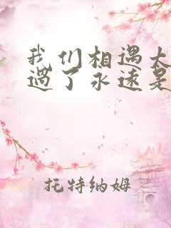 我们相遇太晚错过了永远是什么歌