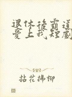 退休后霸道总裁爱上我短剧