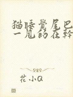 猫睡觉尾巴一甩一甩的在干嘛