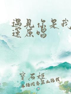 遇见你是我的幸运原唱