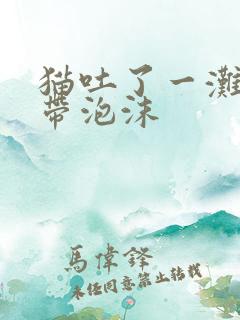 猫吐了一滩黄水带泡沫