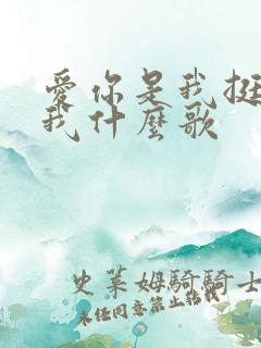 爱你是我挺你是我什么歌