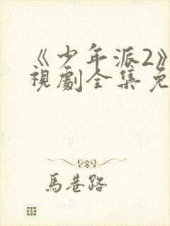 《少年派2》电视剧全集免费