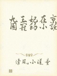 九王妃在京城当团宠的小说