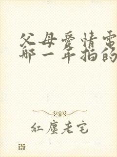 父母爱情电视剧哪一年拍的