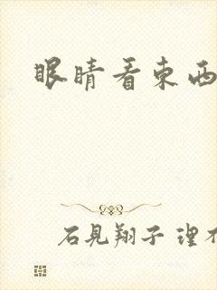 眼睛看东西双影