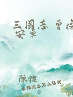 三国志 曹操传 安卓