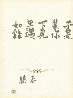 如果下辈子我还能遇见你是什么歌