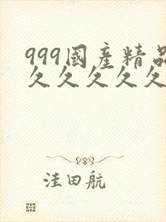 999国产精品久久久久久