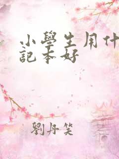 小学生用什么笔记本好