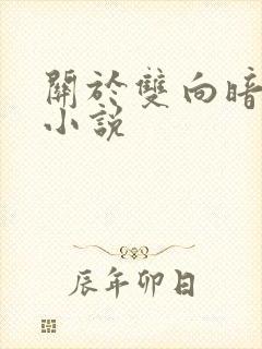 关于双向暗恋的小说